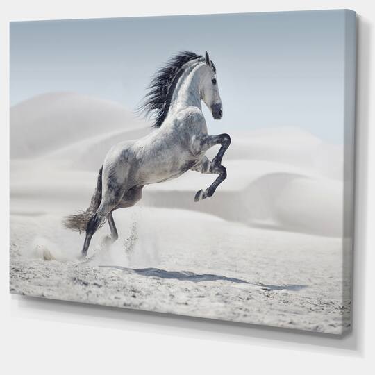 Designart - Galloping White Horse